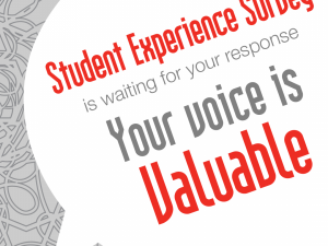 Student Experience Survey