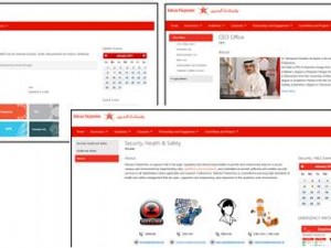 Bahrain Polytechnic Launches SharePoint 2013 as a Staff collaboration and sharing platform