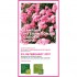 Garden-show2017