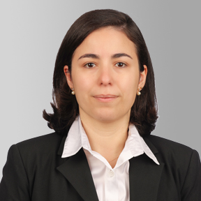 Ana Ferraz