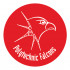 Falcon-Logo-2020