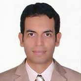 الدكتور محمد الجرجاوي