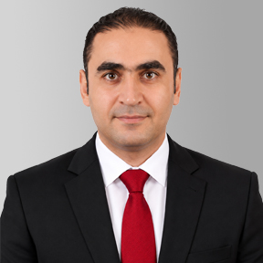 Dr. Elsayed Abulanwar